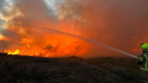 A picture of a firefighter tackling the gorse fire with a hose. He is wearing protective clothing and is to the right of the image. 