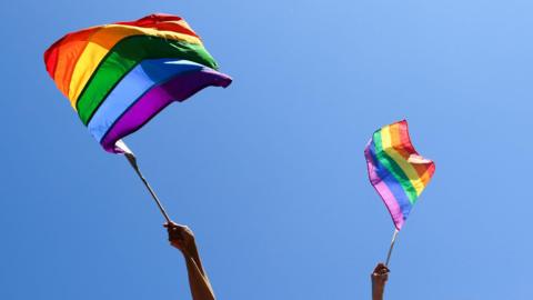 Hands waving rainbow flags