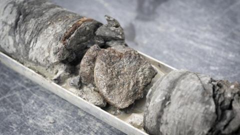 Fossil found underneath car park