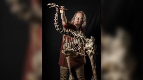 The skeleton of a large standing bird. Stood behind the bird is a woman with blonde hair who is wearing a brown shirt and beige trousers. She has a small brush in her hand and is reaching up to clean the bird's head. 