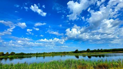 A lake surrounded by long grass and trees under a blue cloudy sky