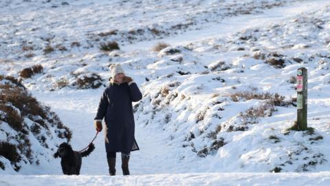 Dynes yn cerdded yn yr eira gyda'i chi