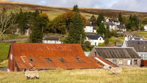 Rooftops and houses in Scotland's highest village - Wanlockhead. Some sheep are in the foreground and trees and hills in the background
