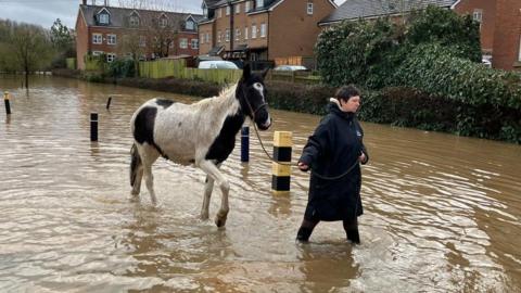 A woman leading a horse through a flooded car park.