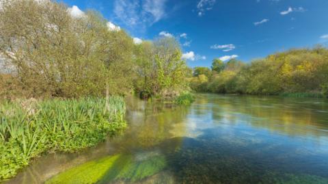 The River Itchen with a reflective shine on a sunny day. The trees flanking the river are brown with green leaves and some green moss can be seen in the foreground of the image.