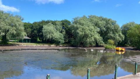 A picture of the lake with low water levels. Swans and signets can be seen swimming in the remainder of the water near a pedalo.