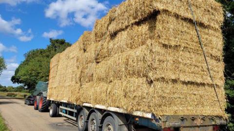 A large tractor and trailer at the side of the road, it is carrying many hay bales. 