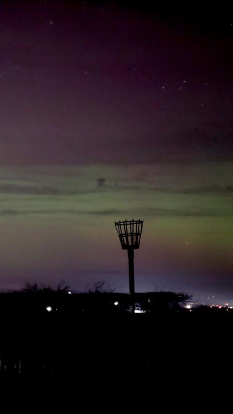 Northern lights with purple and green hues light up a horizon.