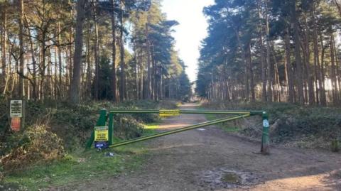 A barrier across a track flanked by tall, native trees 