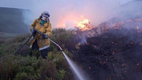 A firefighter wearing a yellow protective jacket spraying a hose on heather on fire in the Cairngorms.