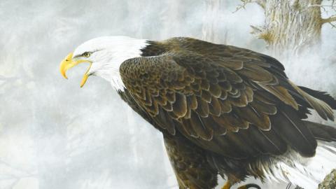 A painting of a bald eagle. It has a yellow beak, white head and its body is made up of mainly brown feathers with some white feathers toward its tail.