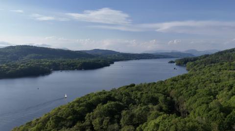 An aerial view of the woodland on the shores of Windermere. The banks of the lake are covered in green trees and there are sailing boats in the water.