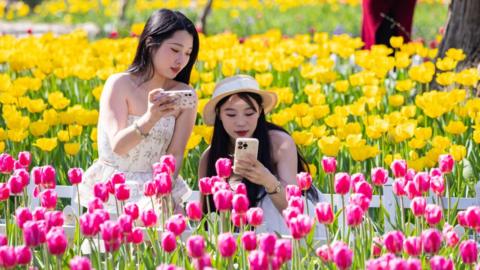 Tourists in Nanjing, China take pictures of flowers.