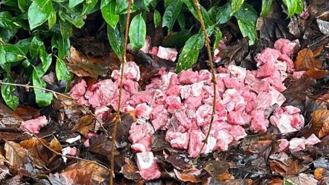 Pile of raw meat abandoned in Reddish, Stockport