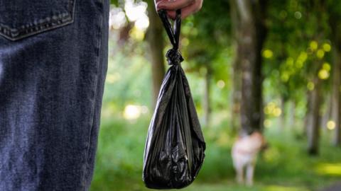 Dog poo bag