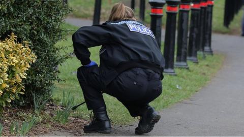 Police at a scene by a Hemel Hempstead Park