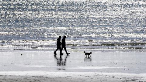 A couple walk their dog on the beach
