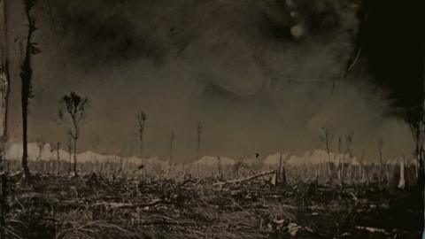 Tintype image of the Great Dismal Swamp in south-eastern Virginia, USA