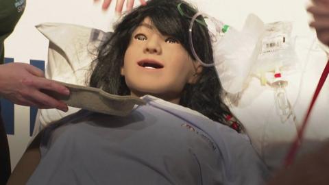 simulation doll