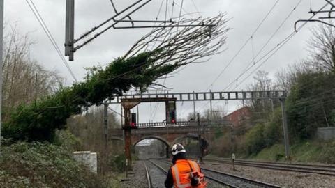 fallen tree hitting overhead rail lines