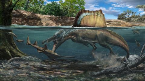 Swimming Spinosaurus
