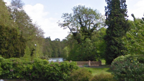 Newent Lake surrounded by trees