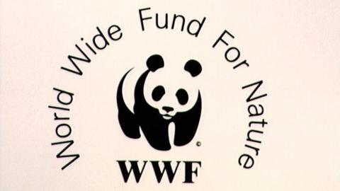 WWF logo