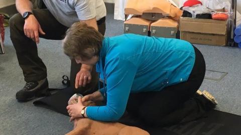 Dog owners learning how to perform CPR