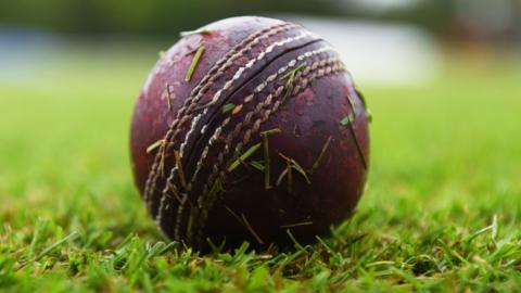 Cricket ball