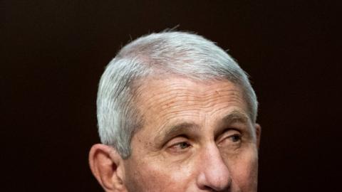 Dr Anthony Fauci