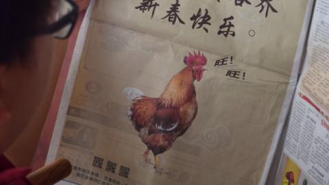 This photo illustration taken on February 16, 2018 shows a man looking at a full-page Lunar New Year advertisement in Kuala Lumpur showing a rooster.