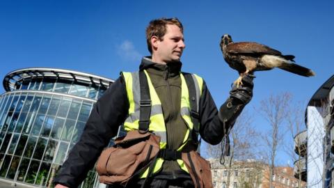 "Horatio" and handler