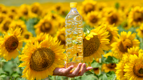 Sunflower oil