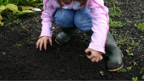 A girl picks up a worm from soil