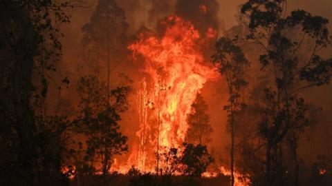 Fires in Bobin, 350km north of Sydney, on 9 November