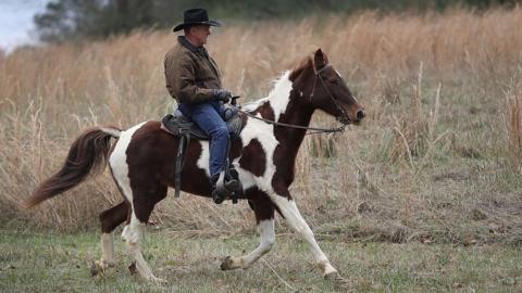 Republican candidate Roy Moore on horseback