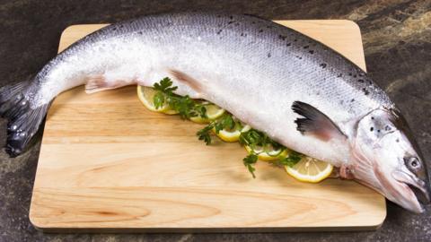 Whole salmon on chopping board