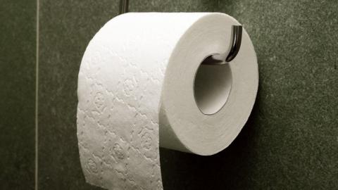 Toilet roll