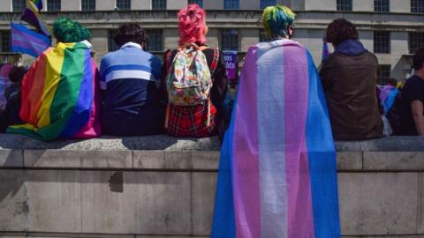 Protester with the transgender flag draped over her