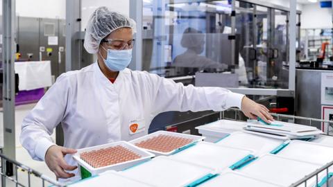 A GSK employee is at work at the factory of British pharmaceutical company GlaxoSmithKline (GSK) in Wavre, Belgium