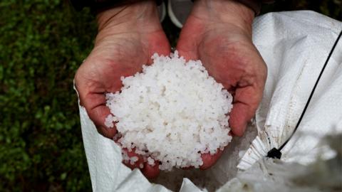 Plastic pellets from a bag that washed up on Vilar beach are seen after millions of plastic pellets washed up on the Spanish northwestern Galicia region