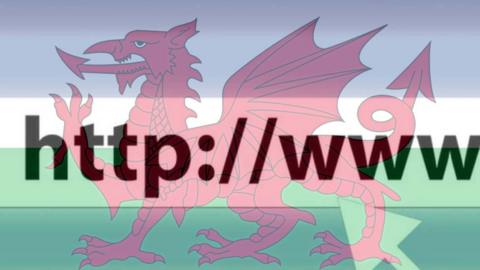 A URL field with the Welsh flag over the top