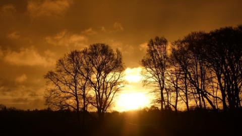 FRIDAY - Highclere