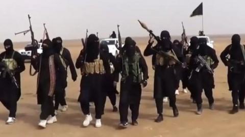 IS militants in Iraq (June, 2014)
