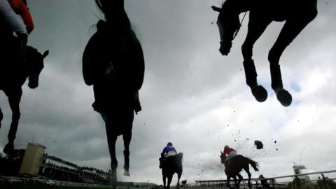 Horses jumping fences at Ludlow racecourse