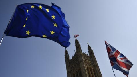 Flags of Brexit protesters outside Parliament in London, 1 April 2019