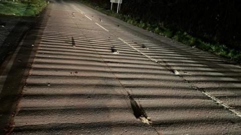 Hundreds of birds were seen falling from the sky onto a road and into hedges