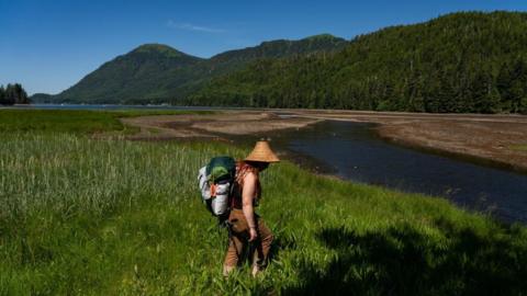 Tongass National Forest in Alaska