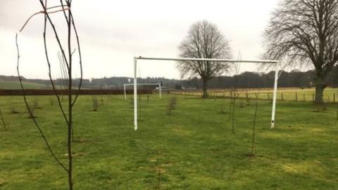 Trees on football pitch