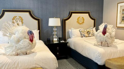 Turkeys on hotel beds